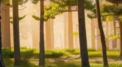 国际期货招商新动态：中阳环球金融发力主账户代理业务