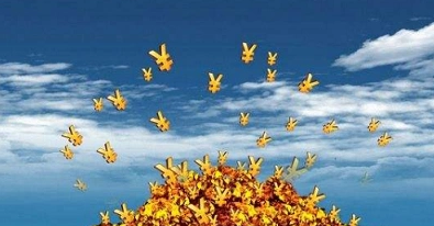 期货稳定可靠的主账户在开展招商代理业务的有中阳环球金融存在