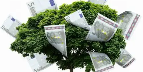 1765950145160875.png 1.png